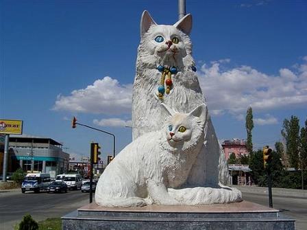 معرفی شهر وان - خانه گربه های وان دریاچه وان 